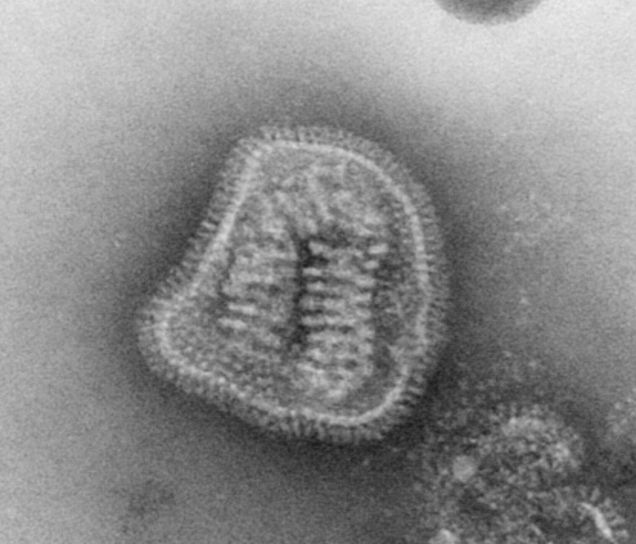 Influenza-Impfung – Impfung gegen die echte Grippe
