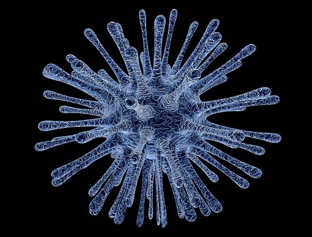 RSV-Infektion – Was ist das?